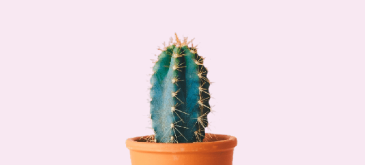 A minimalist cactus sculpture
